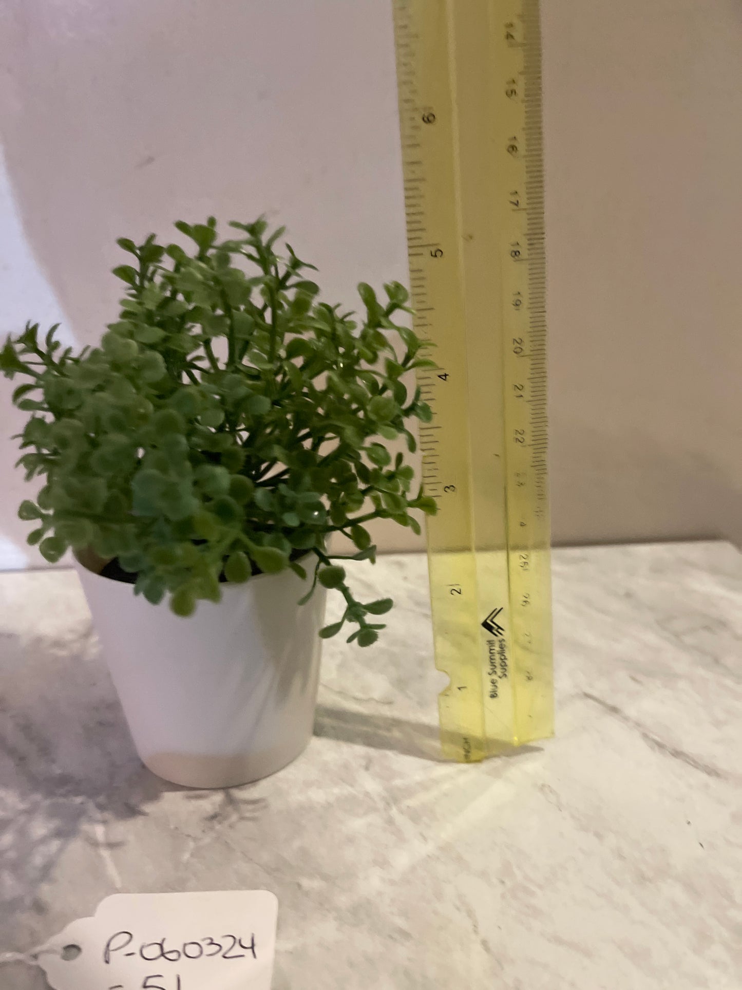 Rentals small faux green plants office