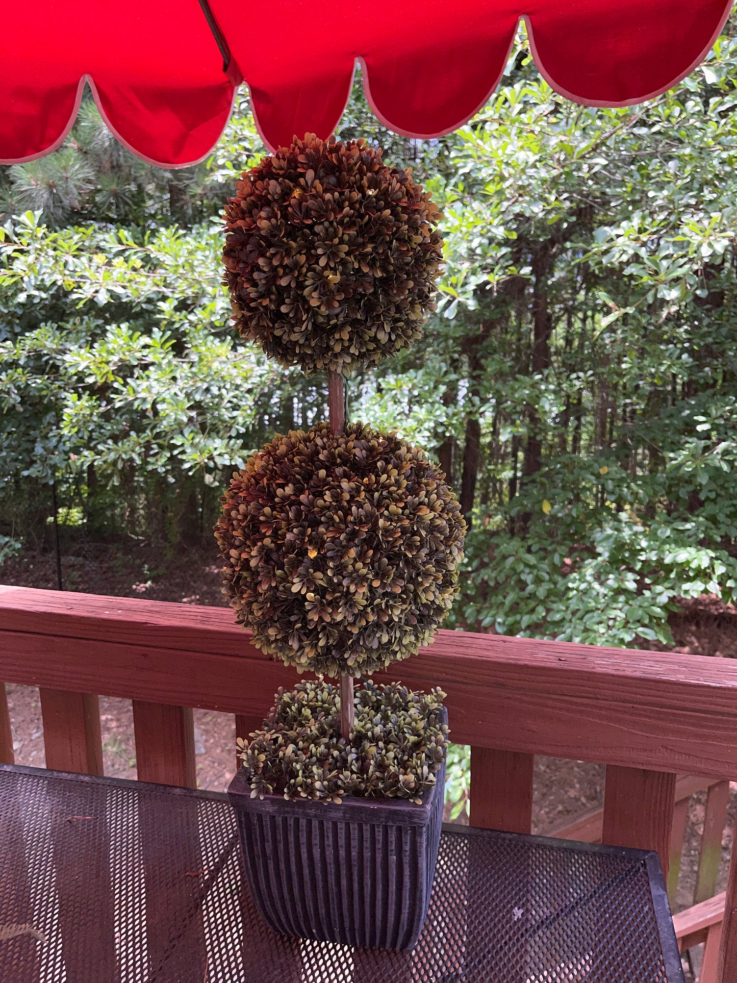 TREE RENTAL WHITE BLOSSOM APPLE TREE