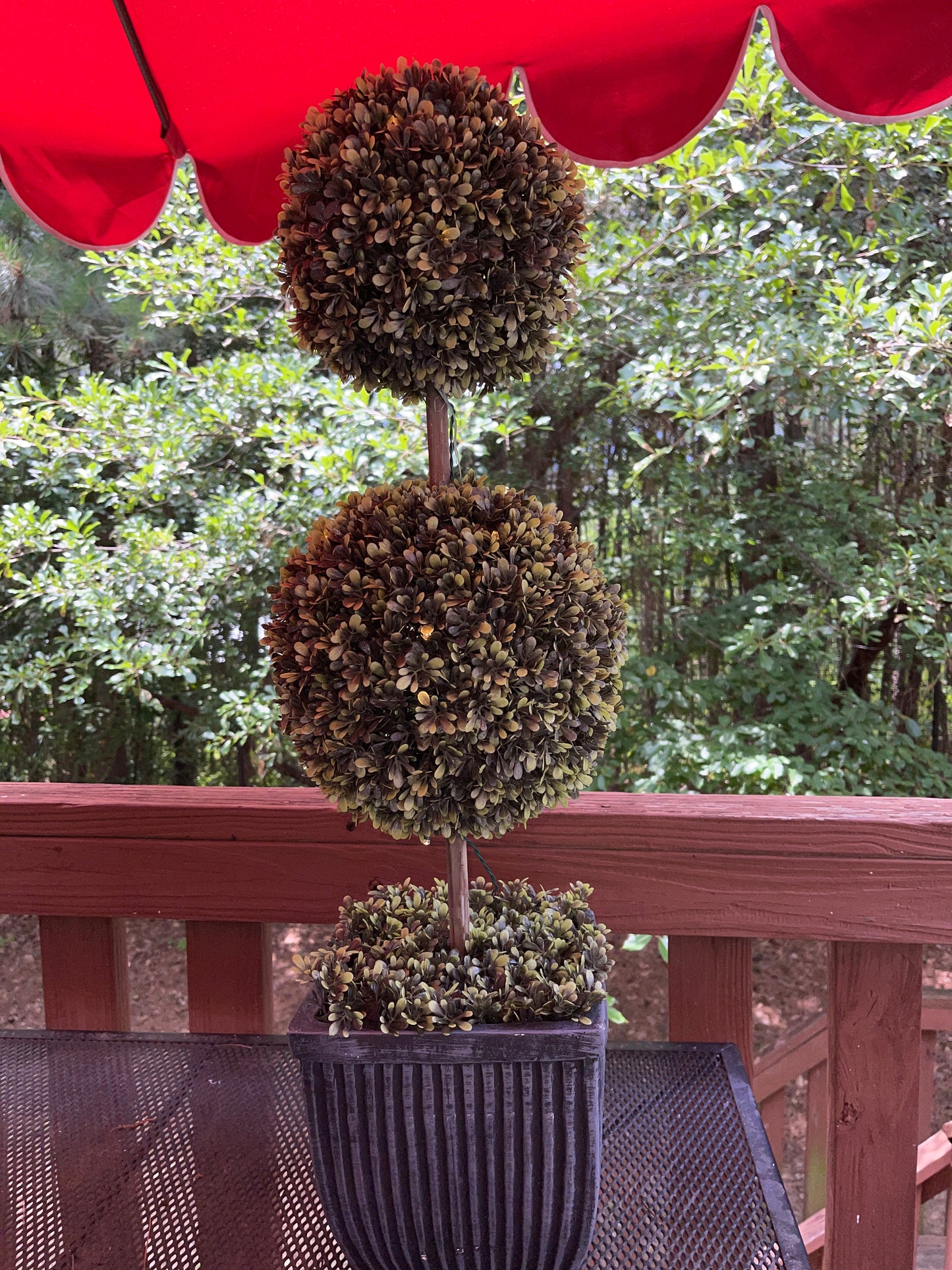 TREE RENTAL WHITE BLOSSOM APPLE TREE