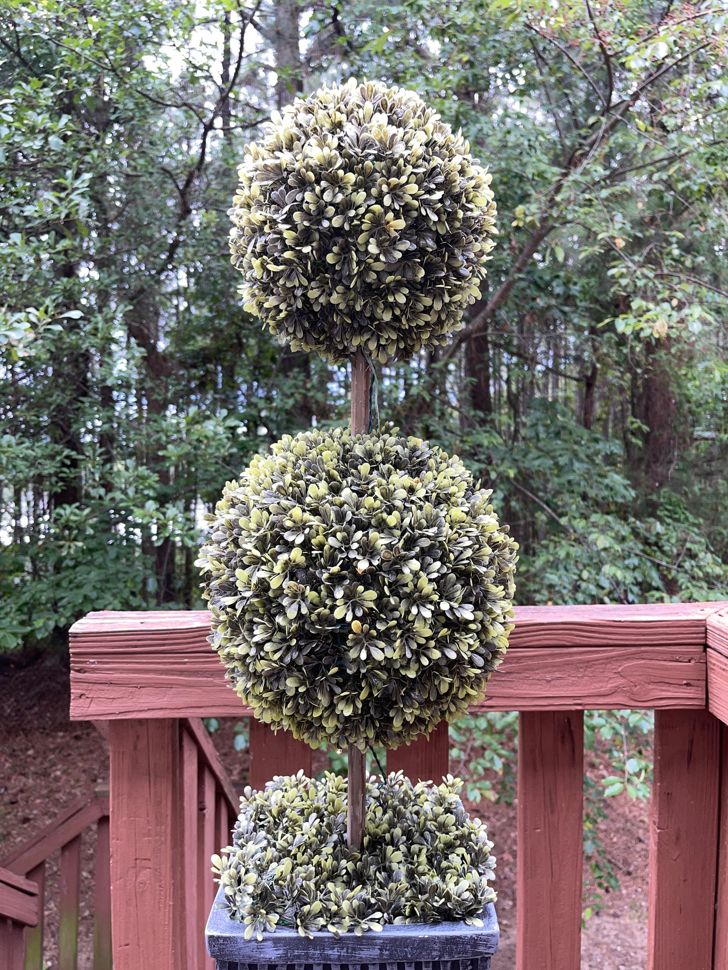 TREE RENTAL WHITE BLOSSOM APPLE TREE