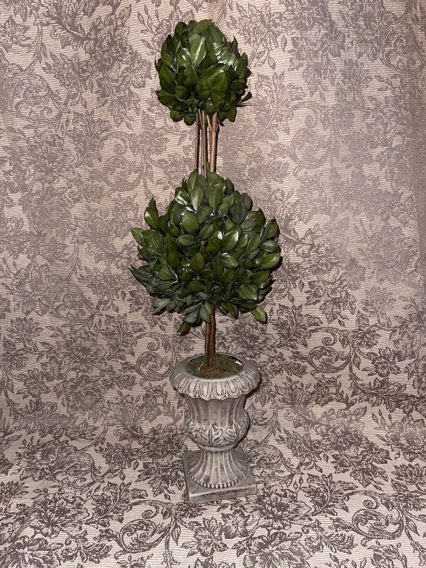 TREE RENTAL GREENERY TOPIARY SHRUBBERY PLANTER