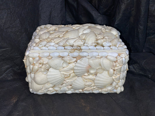 RENTAL LARGE SEASHELL BOX