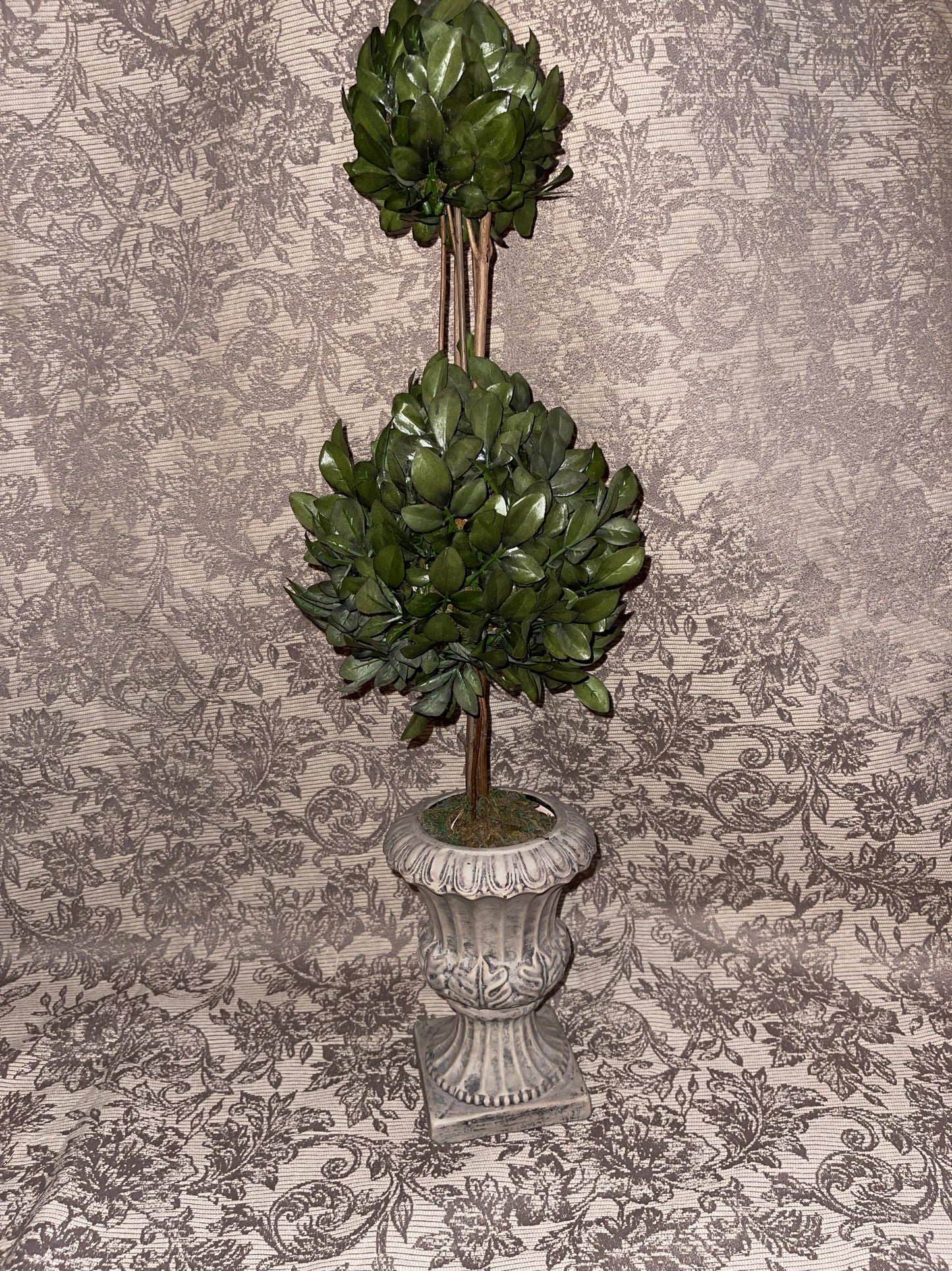 TREE RENTAL GREENERY TOPIARY SHRUBBERY PLANTER