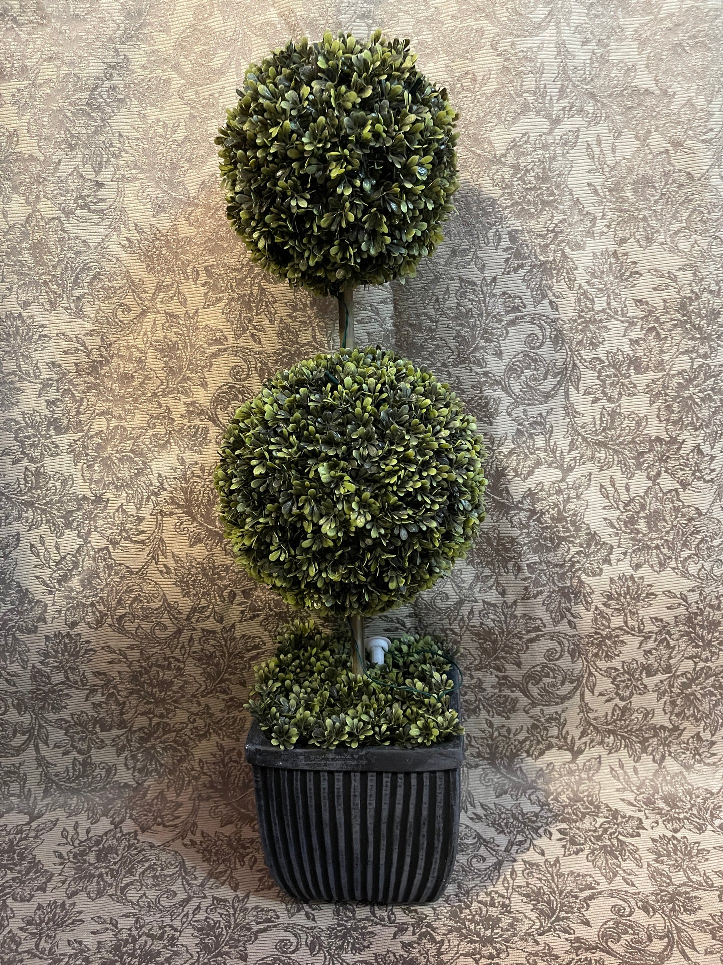 TREE RENTAL GREENERY TOPIARY SHRUBBERY LIGHTED PLANTER