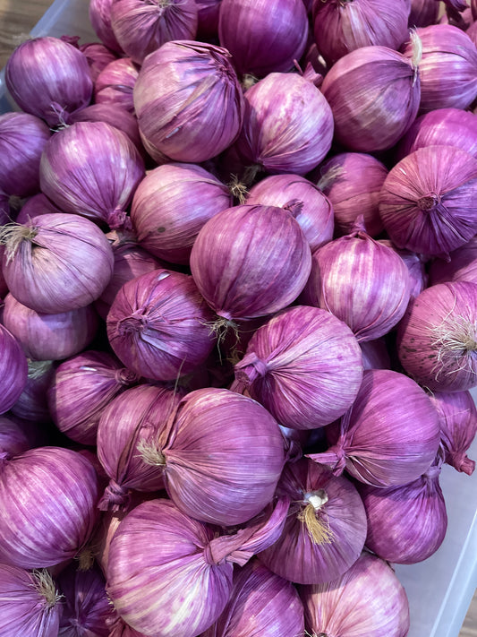 FAUX VEGETABLE RENTAL RED ONIONS