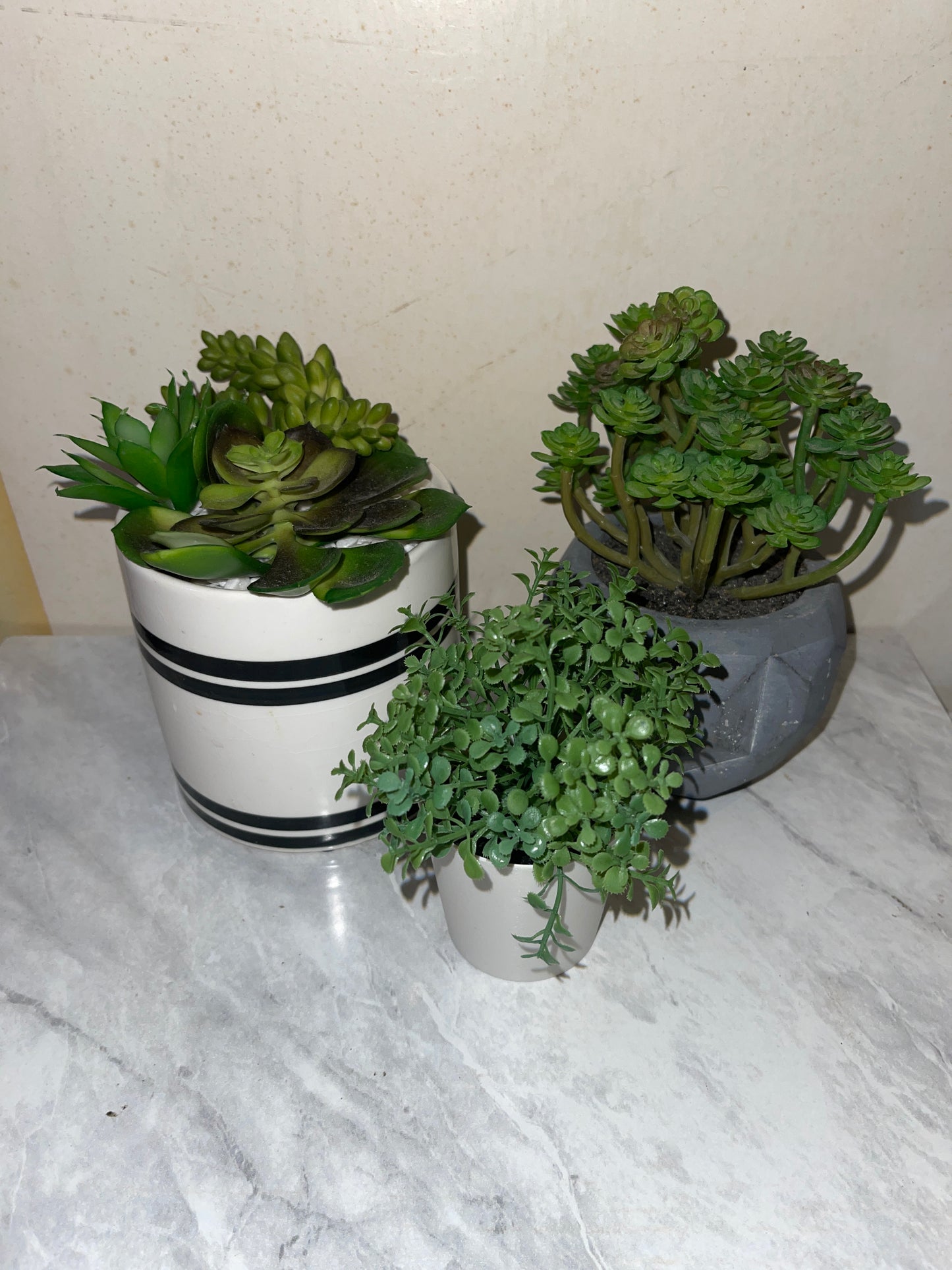 Rentals small faux green plants office